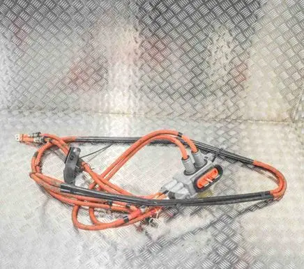Tesla Model S Other wiring loom 1056187