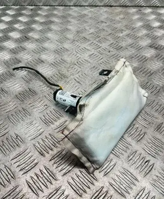 BMW X5 E70 Seat airbag 7161063