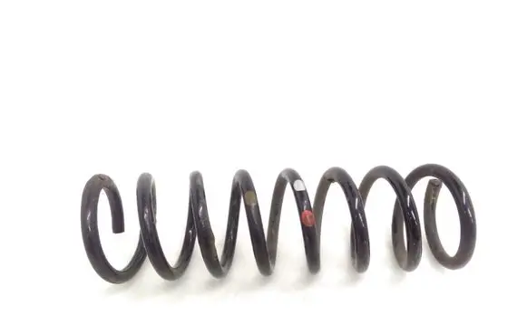 Rear coil spring