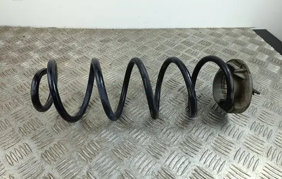 Rear coil spring