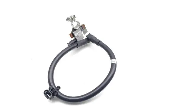 Audi TT TTS RS Mk3 8S Negative earth cable (battery) 8W0915181
