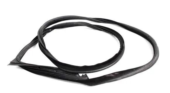 BMW 6 F12 F13 Rubber seal front door (on door) 