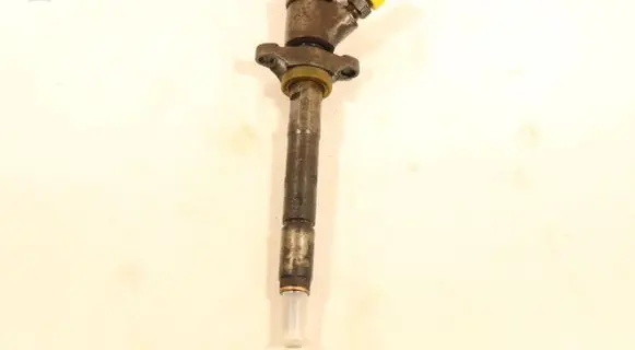 Citroen C4 I Picasso Fuel injector 0445110259