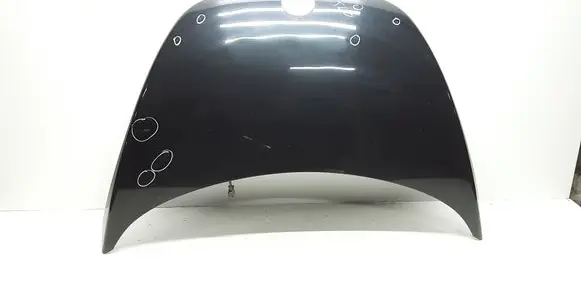 Volkswagen New Beetle Engine bonnet/hood
