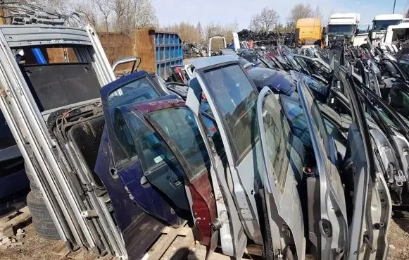 Renault Scenic I Rear door melynos