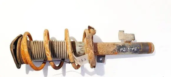 Ford Focus C-MAX Front shock absorber/damper