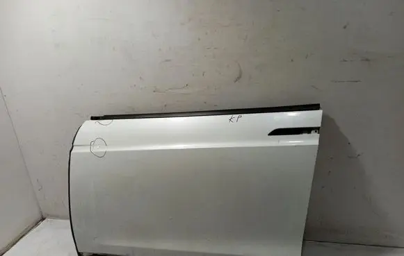 Tesla Model X Door (2 Door Coupe) 1069535E0C