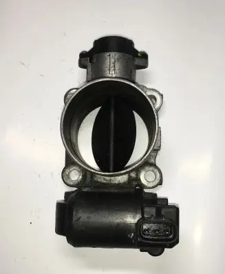 Toyota Land Cruiser (J120) Throttle valve 1923002010