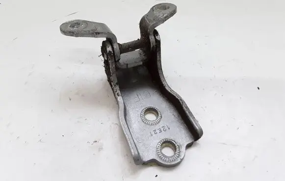 Opel Antara Front door lower hinge 12E21