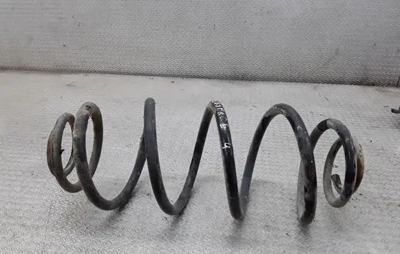 Rear coil spring