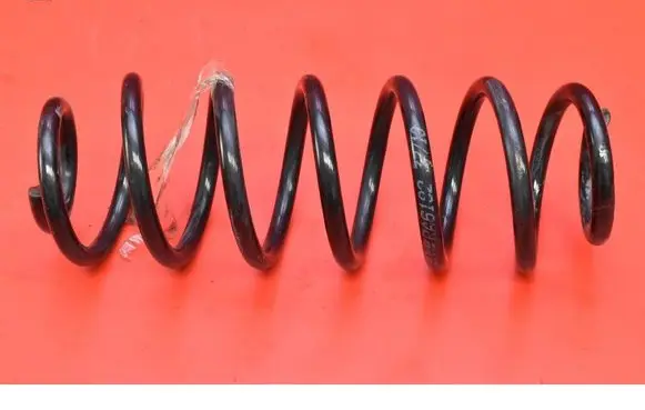 Rear coil spring