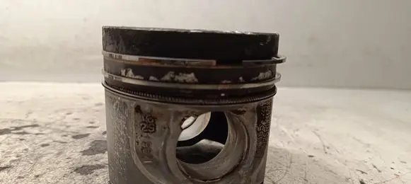 Land Rover Range Rover Evoque L538 Piston 1295