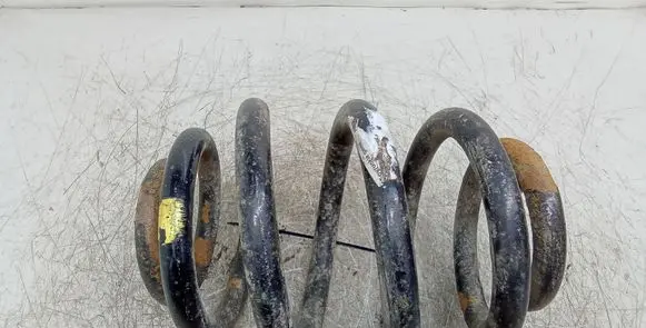 Volkswagen Sharan Rear coil spring