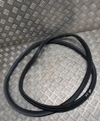 BMW X7 G07 Rear door rubber seal (on body) 7431142