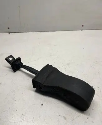 Volkswagen Golf VII Rear door check strap stopper 5G4839249A 5G0839267 5G4839249