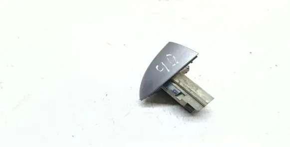 BMW X5 E53 Rear door handle cover 