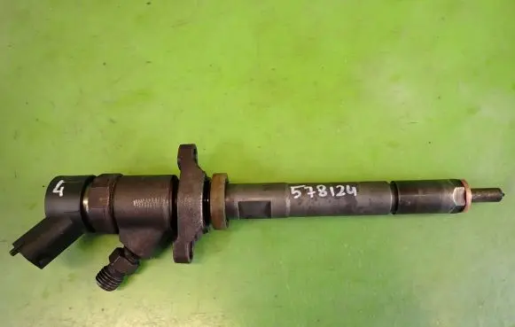 Citroen C5 Fuel injector 0445110188892080