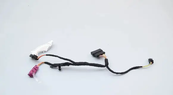 BMW X1 U11 Rear door wiring loom 5A5D5C8 5A5CF90