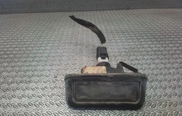 Number plate light