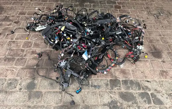 BMW 5 G30 G31 G38 Wiring harness