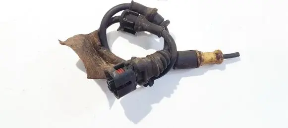 Opel Signum Other wiring loom
