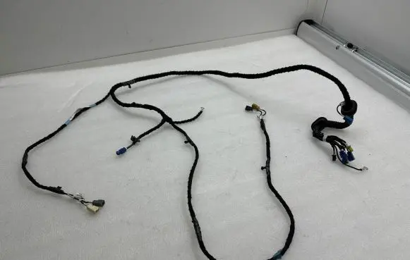 Tesla Model S Other wiring loom 100442900H