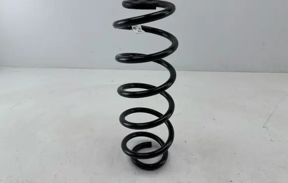 Rear coil spring