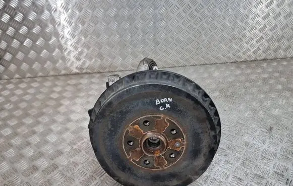 Cupra Born Rear wheel hub 1ea609075