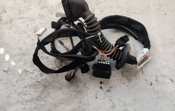 Other wiring loom