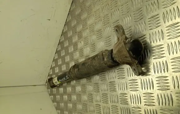 Ford Mustang Mach-E Rear shock absorber/damper LJ9C18080EBG