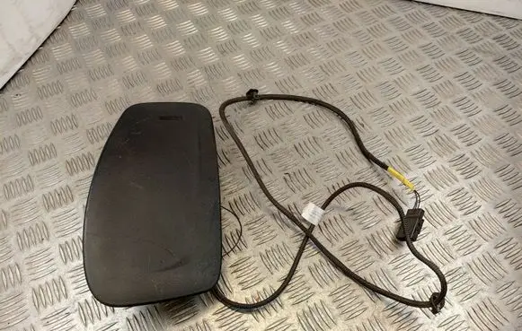 Fiat Punto (199) Seat airbag 30363312