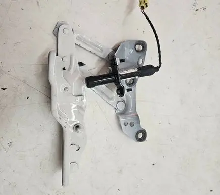Tesla Model X Engine bonnet/hood hinges 100962104