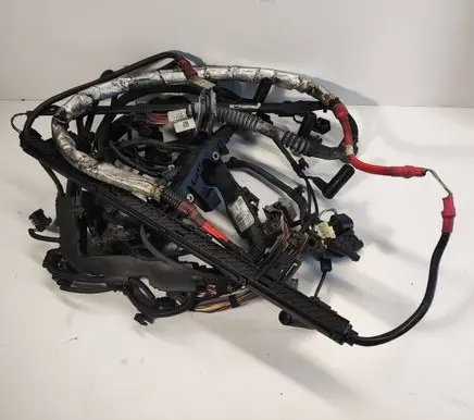 Engine installation wiring loom