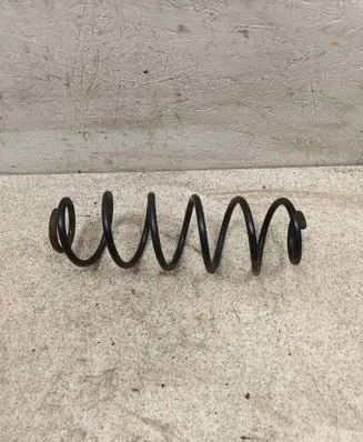 Rear coil spring