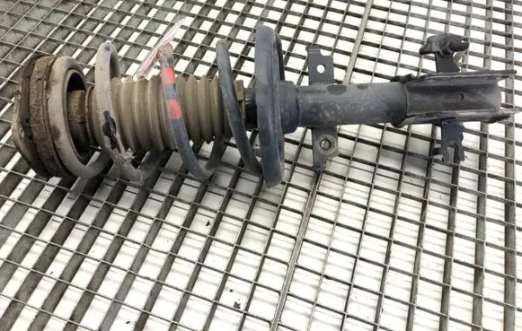Renault Laguna III Front shock absorber/damper