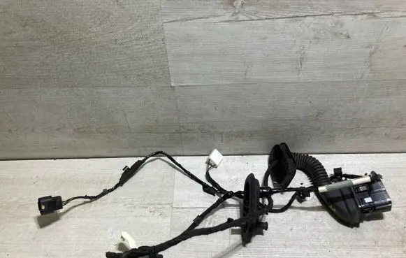 Rear door wiring loom