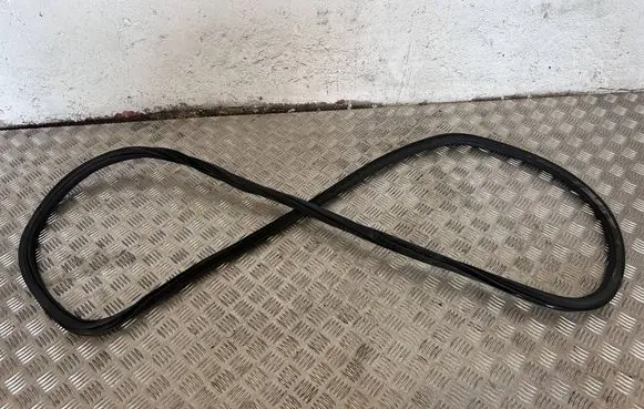 Audi Q5 SQ5 Front door rubber seal 