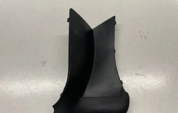 Rear/tail light trim molding