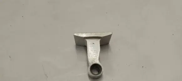 Rear door lower hinge