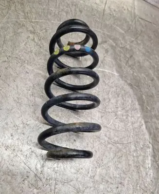 Rear coil spring
