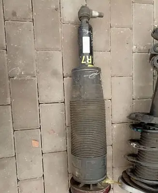 Mercedes-Benz S W221 Front shock absorber/damper A2213208013