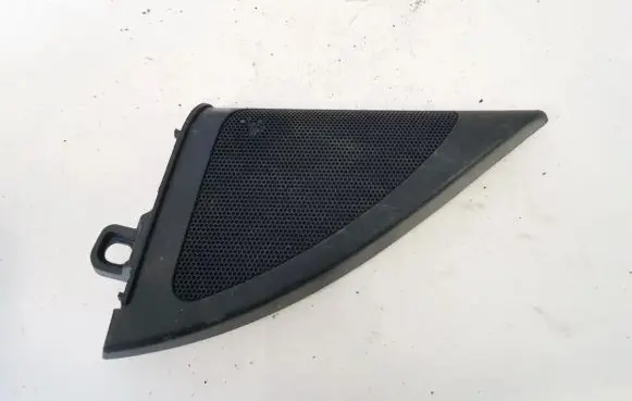 Side speaker trim/cover