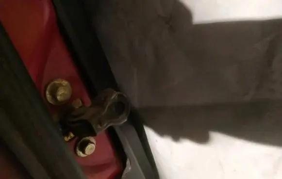 Rear door check strap stopper