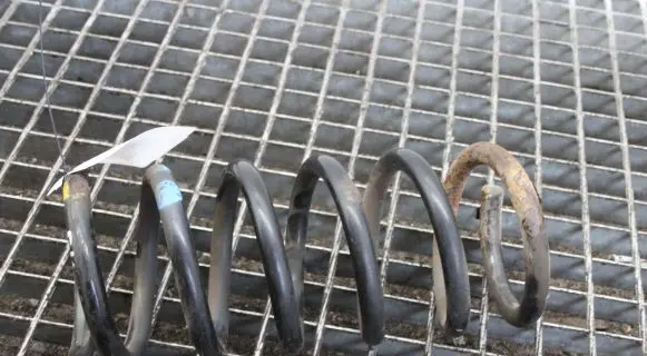 Opel Antara Rear coil spring