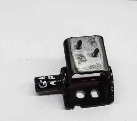Renault Zoe Rear door lower hinge