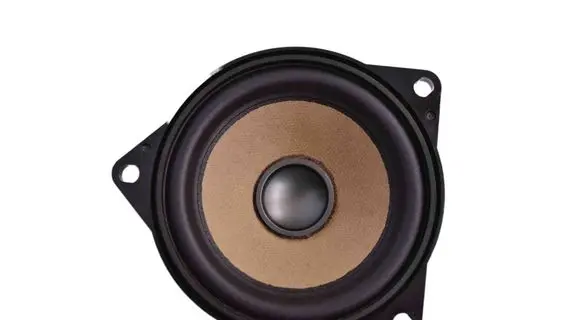 BMW X5 F15 Panel speaker 9295684