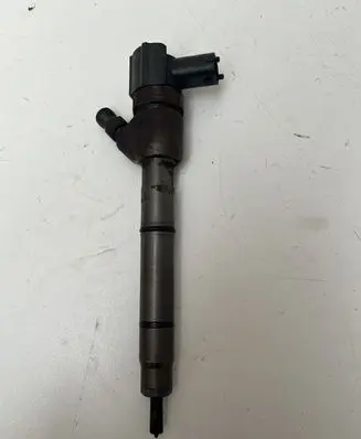 KIA Ceed Fuel injector 0445110320 338002A900