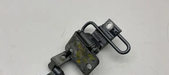 Volkswagen PASSAT B6 Rear door hinge set 3C9833411A