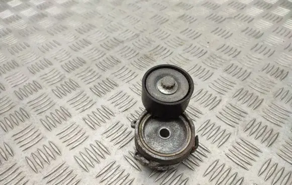 Citroen Berlingo Alternator pulley 