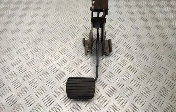 Dacia Sandero II Brake pedal 465013048R